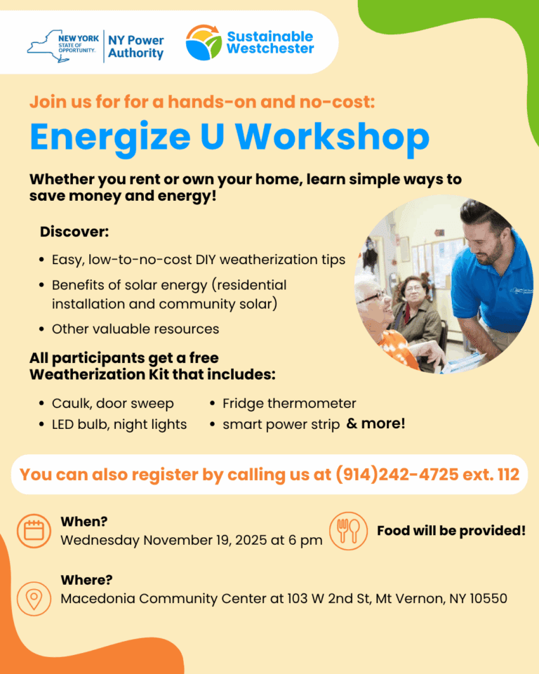 Energize U Mount Vernon Workshop Registration Flyer
