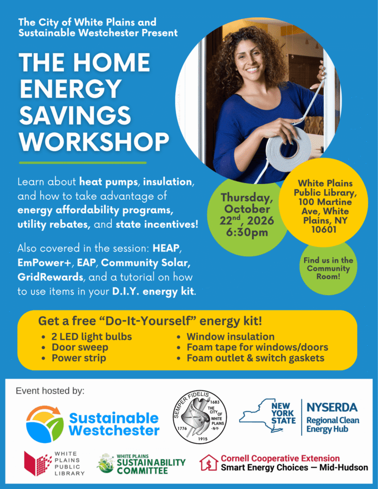 White Plains Public Library Energy Kit Session